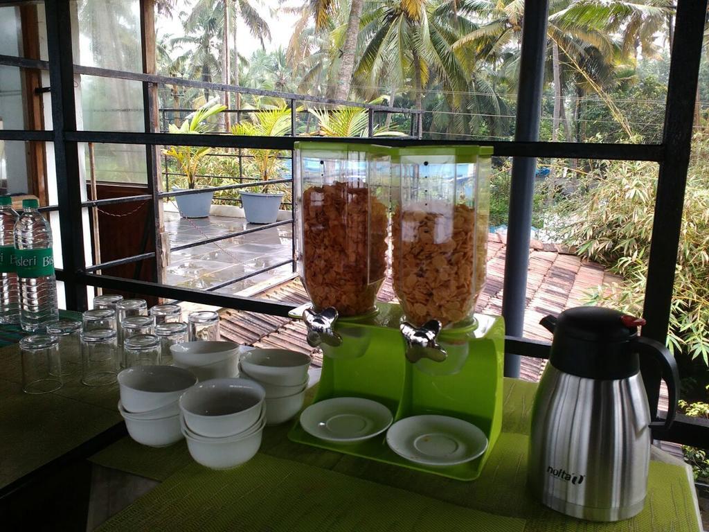 36 Palms Boutique Retreat Hotel Cherai Beach Exterior foto